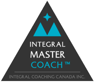 IMC Logo